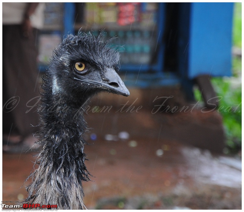 Civved : Goa, Yaana, Jog, Murdeshwar, Maravanthe, Mangalore...-dsc_0577edit.jpg