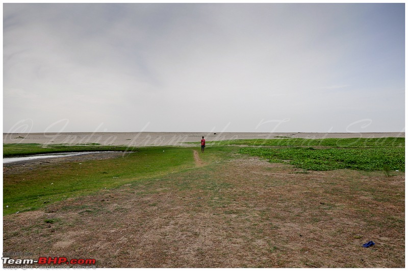 Civved : Pondicherry (Puducherry)-dsc_0603edit.jpg