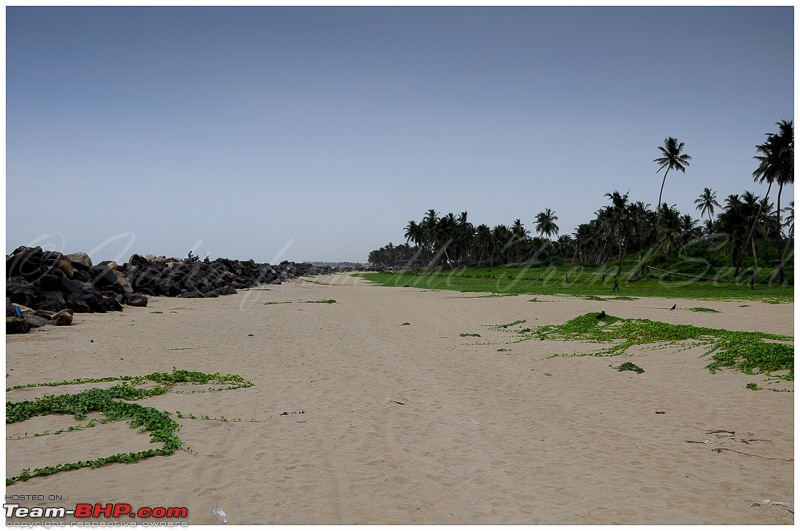 Civved : Pondicherry (Puducherry)-dsc_0646edit.jpg