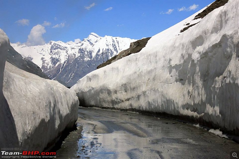 Chasing the Lama in a Safari Storme: Pune - Ladakh - Pune, 7500 kms-zozila.jpg