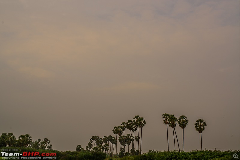 South India West-Coast Ride. And some more...-20131226dsc_1480.jpg