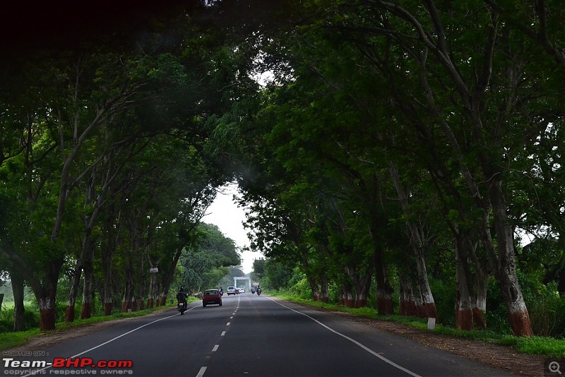 A Day trek to Shoolpaneshwar Wildlife Sanctuary & Zarwani Waterfalls (Gujarat)-dsc_0477.jpg