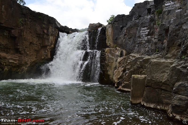 A Day trek to Shoolpaneshwar Wildlife Sanctuary & Zarwani Waterfalls (Gujarat)-dsc_0625.jpg