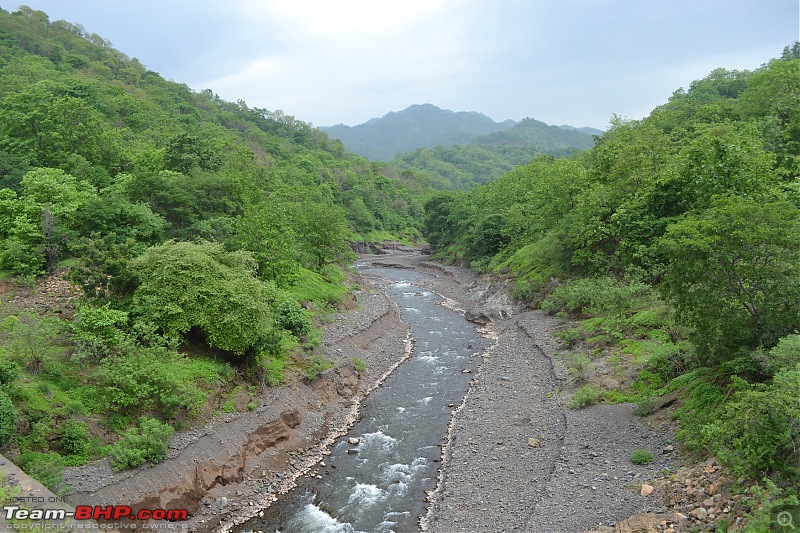 A Day trek to Shoolpaneshwar Wildlife Sanctuary & Zarwani Waterfalls (Gujarat)-dsc_0782.jpg