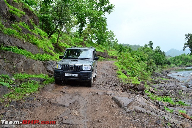 A Day trek to Shoolpaneshwar Wildlife Sanctuary & Zarwani Waterfalls (Gujarat)-dsc_0573.jpg