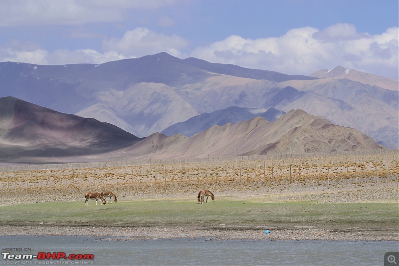 Tata Safari Storme flies to Heaven - Ladakh-3.jpg