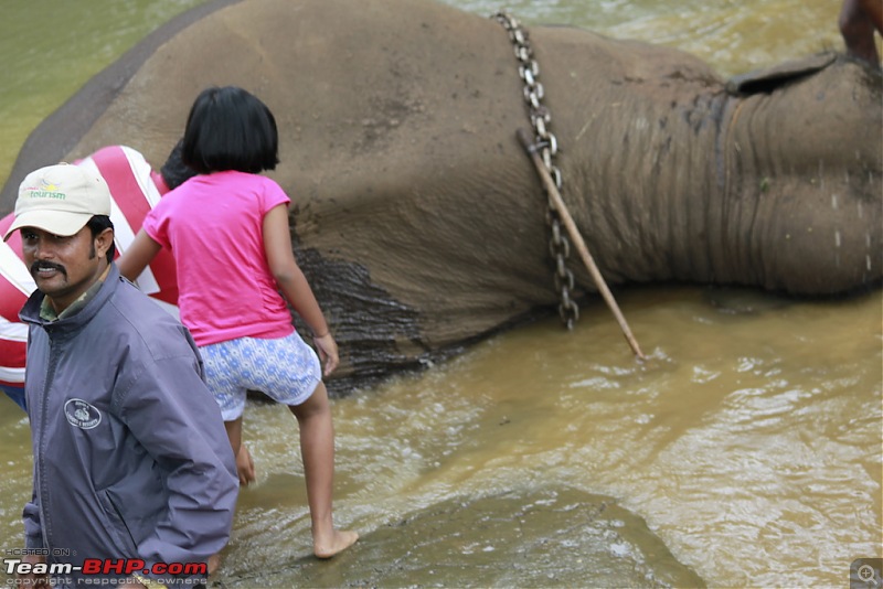 Meeting the Elephants - Family overnighter at Dubare Elephant Camp-bath4.jpg