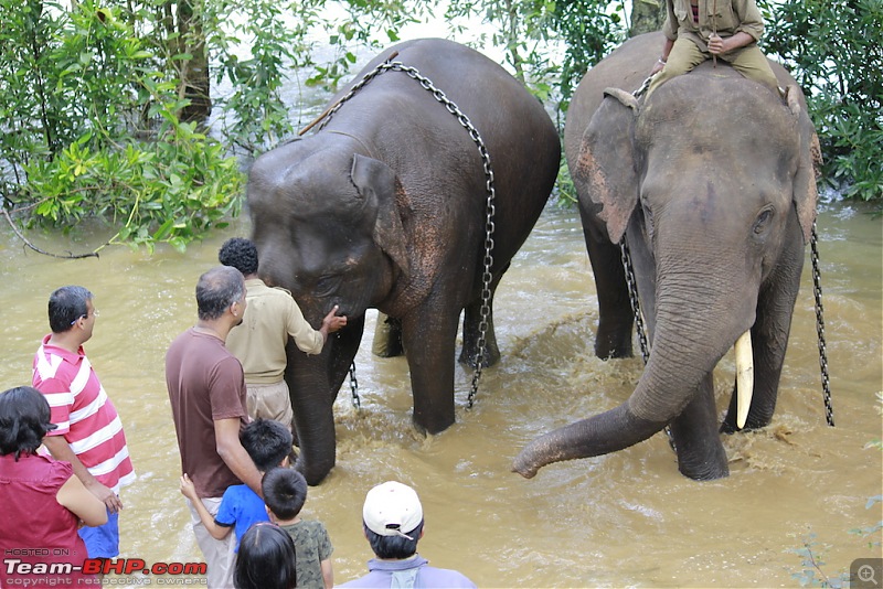 Meeting the Elephants - Family overnighter at Dubare Elephant Camp-bath15.jpg