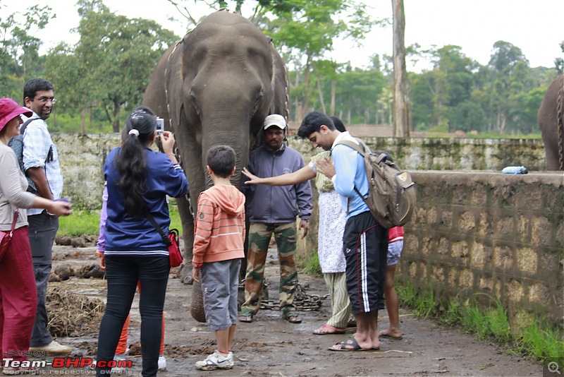 Meeting the Elephants - Family overnighter at Dubare Elephant Camp-ellecamp2.jpg