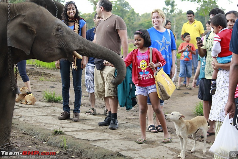 Meeting the Elephants - Family overnighter at Dubare Elephant Camp-ellecamp6.jpg