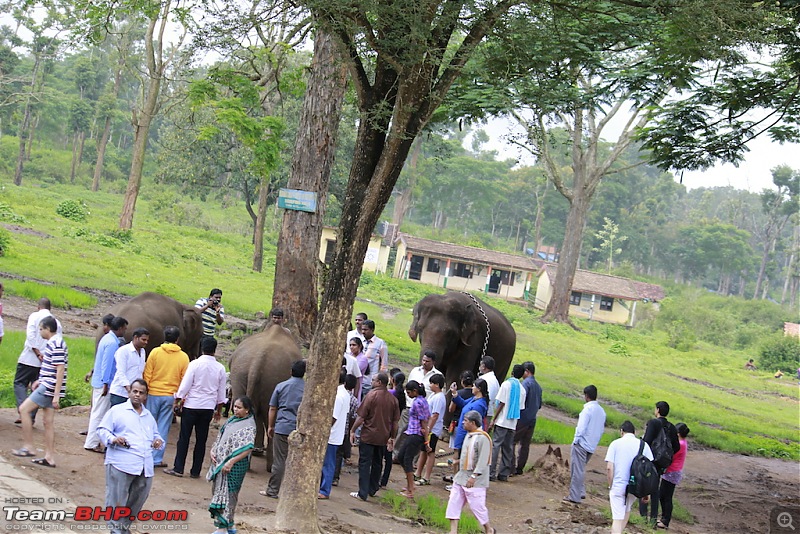 Meeting the Elephants - Family overnighter at Dubare Elephant Camp-ellecamp11.jpg