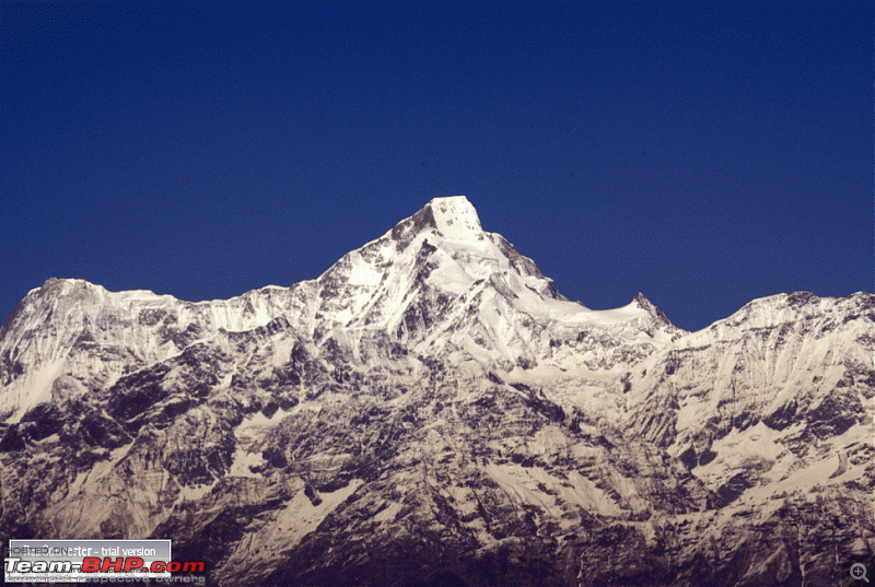 Binsar, the Mighty Himalayas & Life-dsc058461.gif