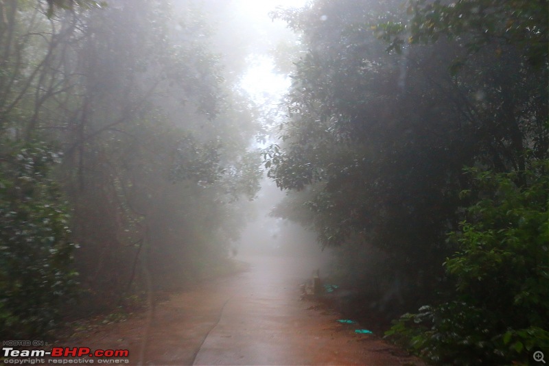 Uttara Kannada: Abode Of Temples, Rivers & Mountains-wild-life-sanctuary-8.jpg