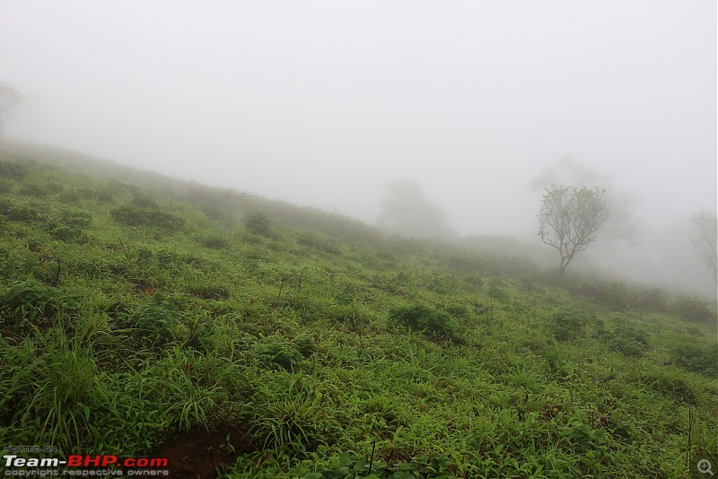 Uttara Kannada: Abode Of Temples, Rivers & Mountains-trek-10.jpg