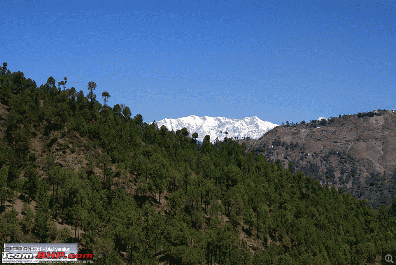 Binsar, the Mighty Himalayas & Life-dsc056121.gif