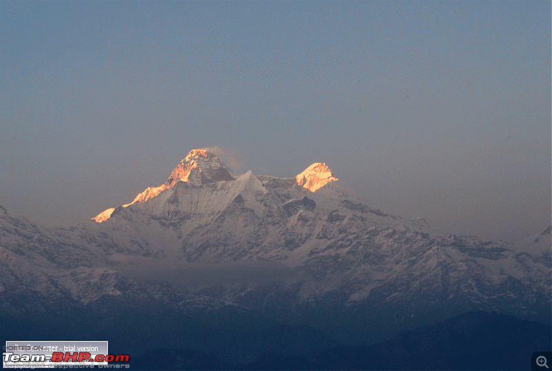 Binsar, the Mighty Himalayas & Life-dsc05729.gif