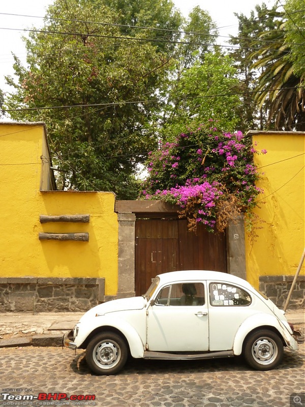 Let's know about Guadalajara! Living & working in Mexico-vw-bug.jpg