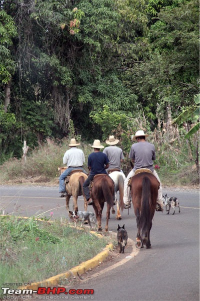 Let's know about Guadalajara! Living & working in Mexico-cowboys.jpg