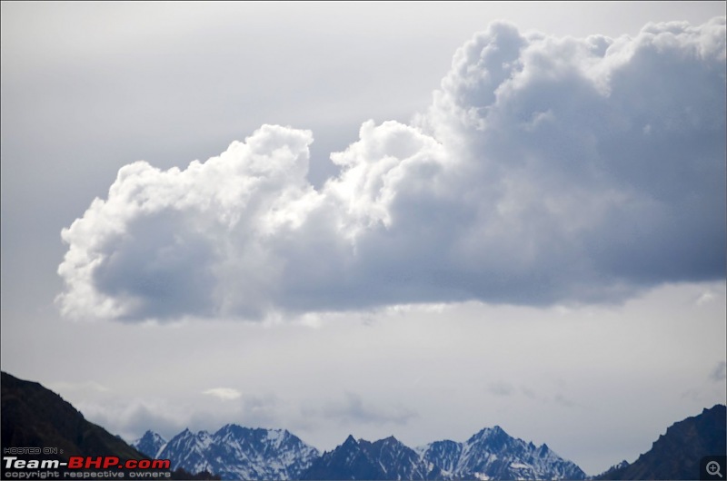 Moonface returns to the Lake of the Moon - Spiti & Chandratal-dsc_0148_1.jpg