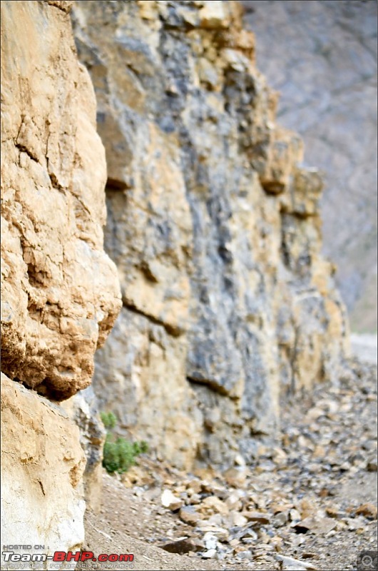 Moonface returns to the Lake of the Moon - Spiti & Chandratal-dsc_0180.jpg