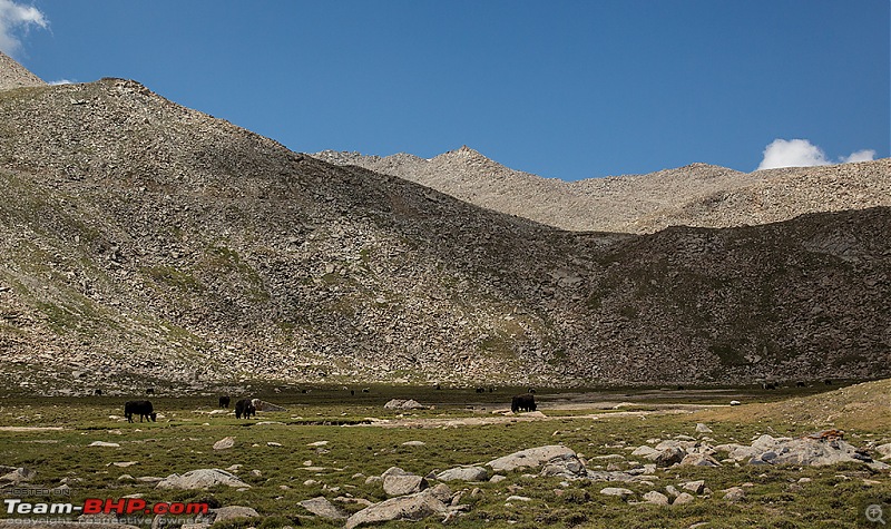 Ladakh Photologue: Overdrive Independence Day Quattro Drive, 2014-_dsm0363.jpg