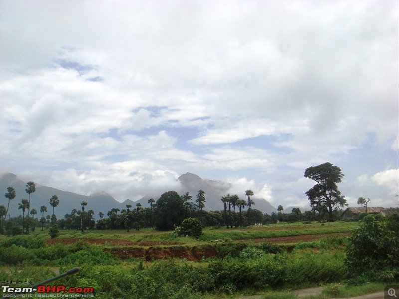 'BEAT'-ing the Drizzle at Munnar and Palakkad-dsc00695.jpg