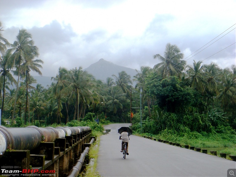 'BEAT'-ing the Drizzle at Munnar and Palakkad-dsc00789.jpg