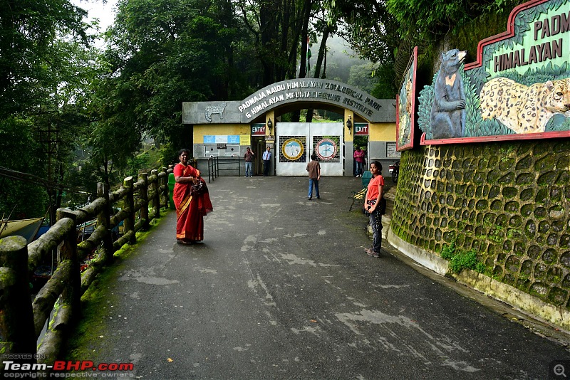 A Quick Trip to Darjeeling, Gangtok & Nathula-z.jpg