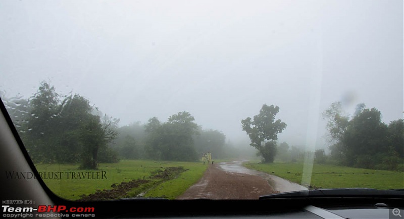 Wanderlust Traveller: Chasing the rain - Agumbe - Thirthahalli - Jog Falls-suh_5319.jpg