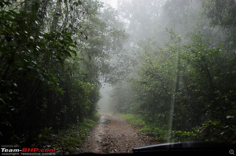 Wanderlust Traveller: Chasing the rain - Agumbe - Thirthahalli - Jog Falls-suh_5352.jpg