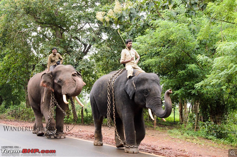 Wanderlust Traveller: Chasing the rain - Agumbe - Thirthahalli - Jog Falls-suh_5573.jpg