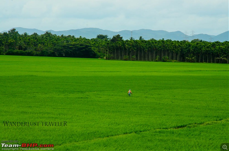 Wanderlust Traveller: Chasing the rain - Agumbe - Thirthahalli - Jog Falls-suh_5701.jpg