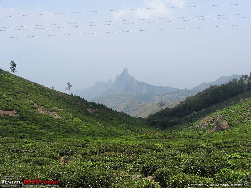 Day Trip to Kodanad, Tamil Nadu-img_1722optimized.jpg