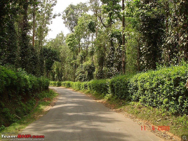 A rejuvenating road trip from Bangalore to Coorg-estateroute.jpg