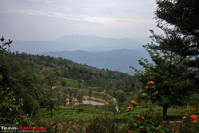 A Wilderness Photologue - Bandipur & Palaniappa Estate (Devashola)-mgrbu-viewcs4.jpg