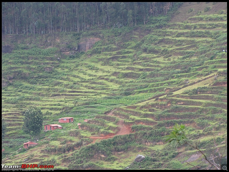 Road Trip : Bangalore - Kodaikanal-img_8335.jpg