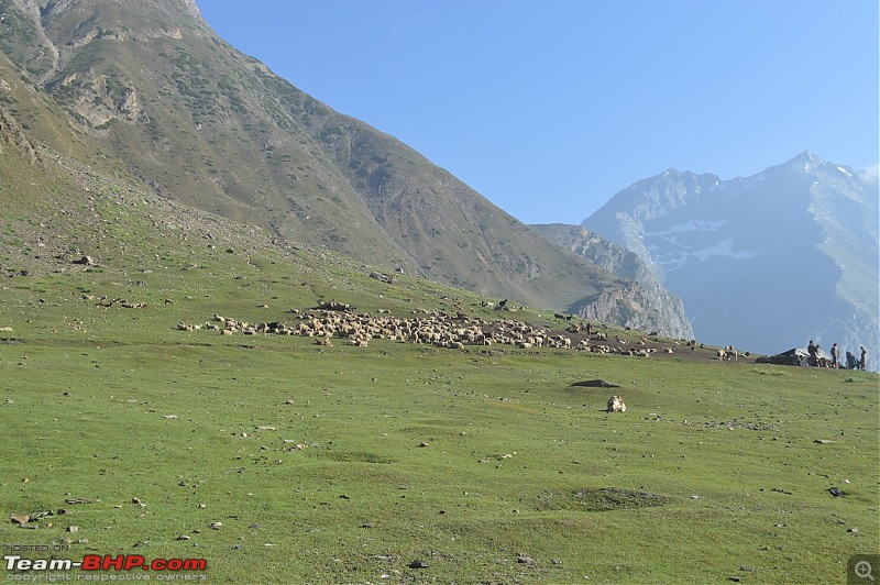 Pune to Pune via Ladakh - The White Beast conquers everything in between-dsc_0890.jpg