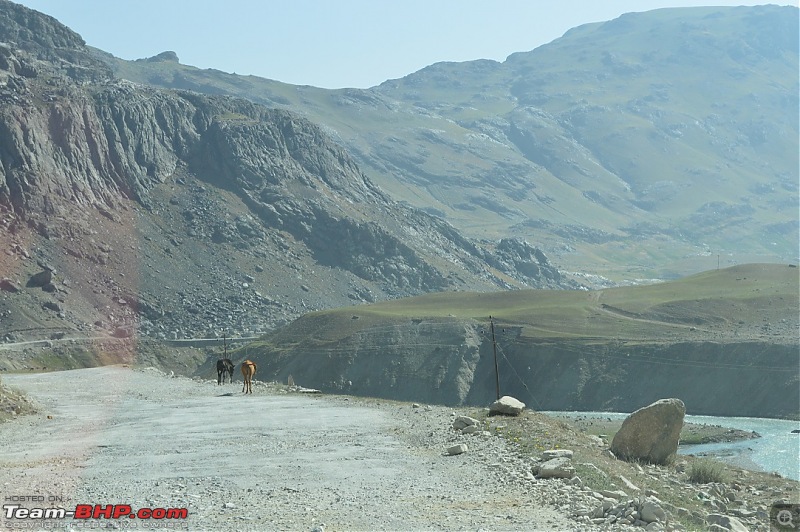 Pune to Pune via Ladakh - The White Beast conquers everything in between-dsc_0995.jpg