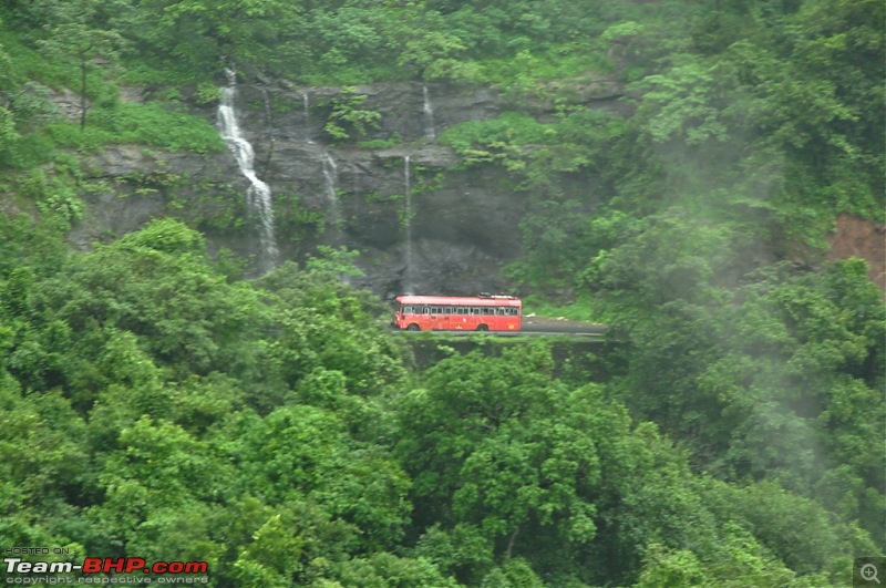 Revisiting the Greenery - Monsoon drives, 2014-dsc_1393.jpg