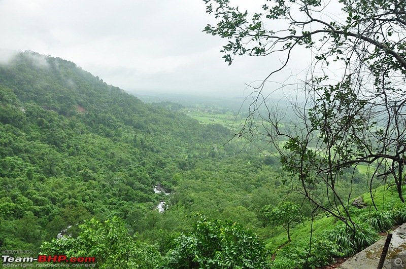 Revisiting the Greenery - Monsoon drives, 2014-dsc_1397.jpg