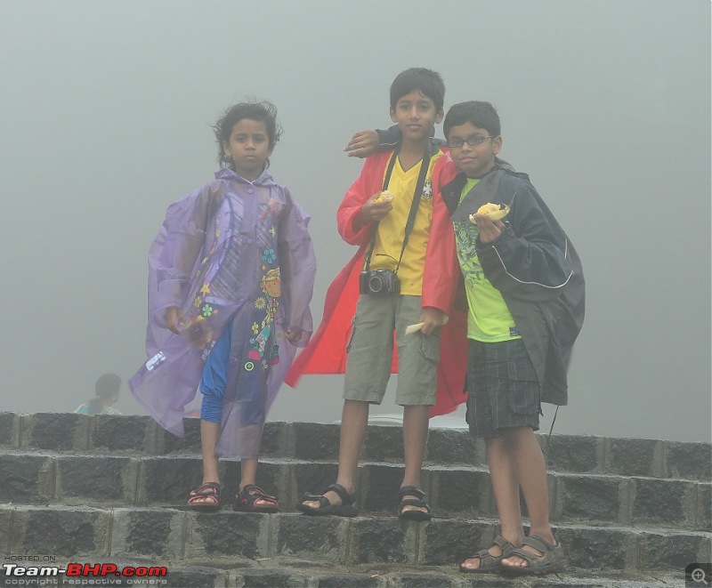 Revisiting the Greenery - Monsoon drives, 2014-dsc_1412.jpg