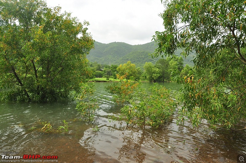 Revisiting the Greenery - Monsoon drives, 2014-dsc_1502.jpg