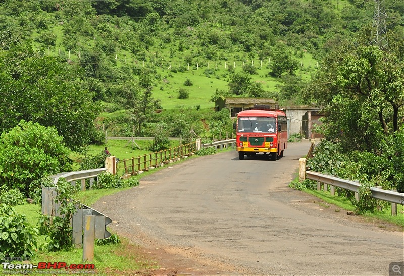 Revisiting the Greenery - Monsoon drives, 2014-dsc_1534.jpg