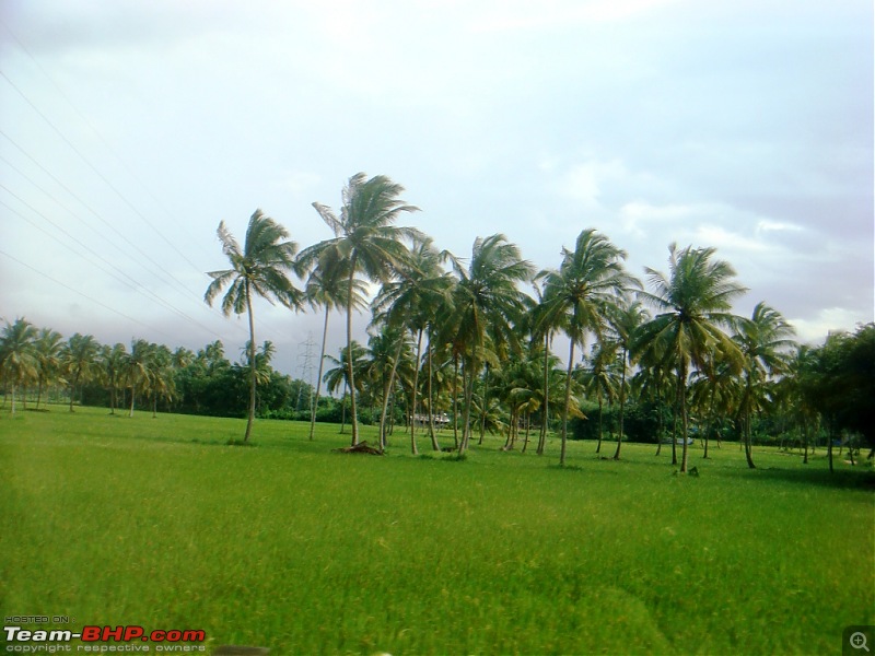 'BEAT'-ing the Drizzle at Munnar and Palakkad-dsc00815.jpg