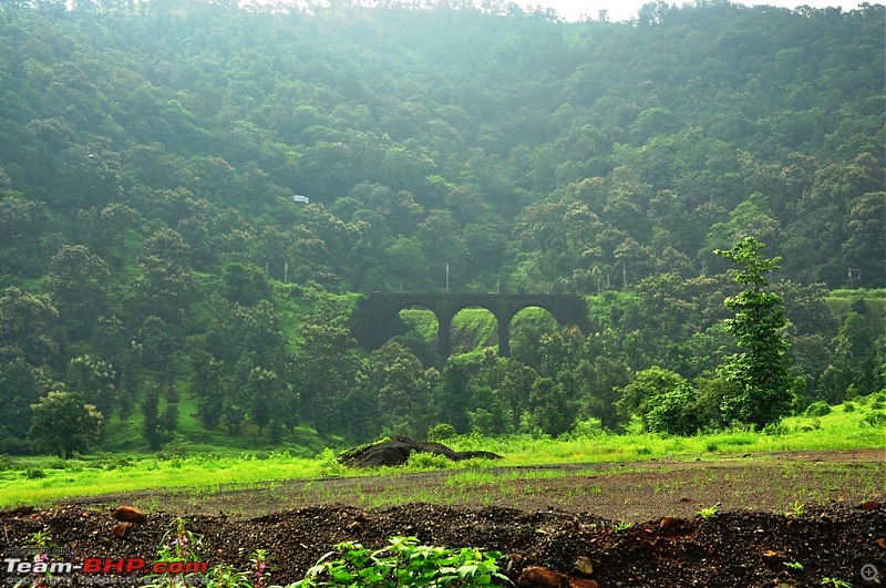 Revisiting the Greenery - Monsoon drives, 2014-dsc_1660.jpg