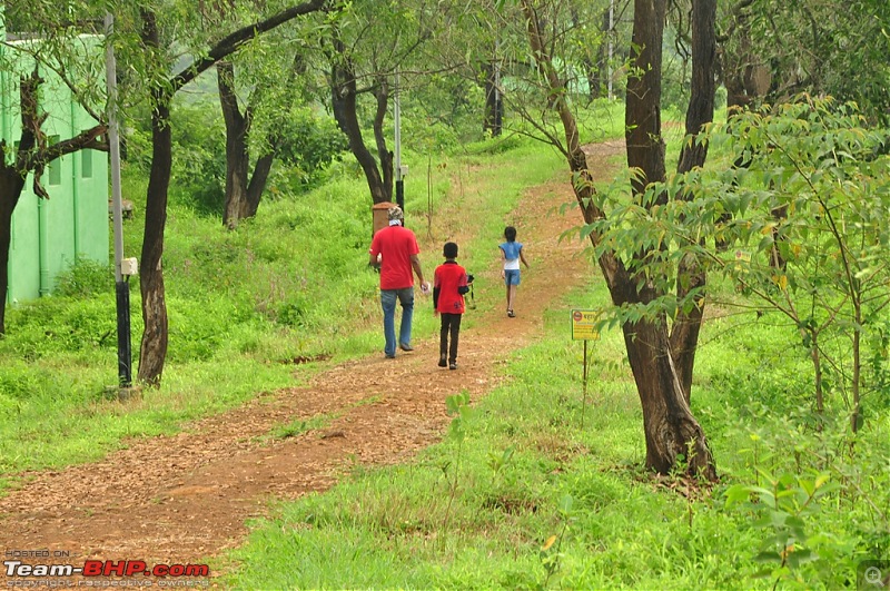 Revisiting the Greenery - Monsoon drives, 2014-dsc_1681.jpg