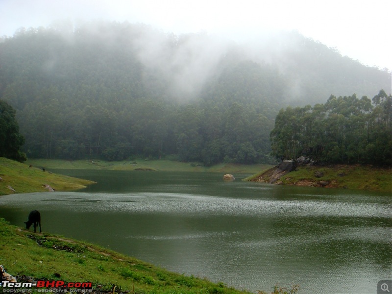 'BEAT'-ing the Drizzle at Munnar and Palakkad-dsc00995.jpg