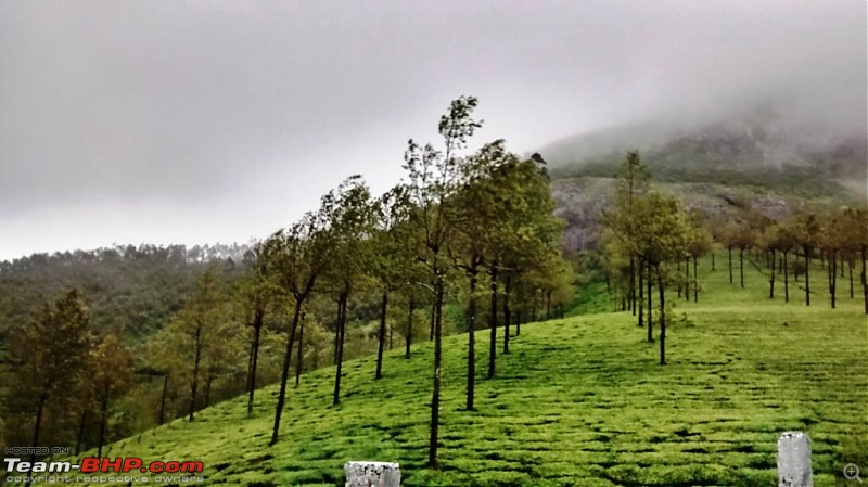 'BEAT'-ing the Drizzle at Munnar and Palakkad-img_20140830_100459136_hdr.jpg