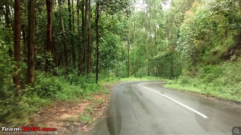 'BEAT'-ing the Drizzle at Munnar and Palakkad-img_20140830_104917918.jpg