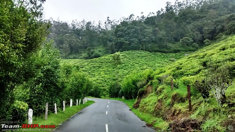 'BEAT'-ing the Drizzle at Munnar and Palakkad-img_20140830_114001195_hdr.jpg